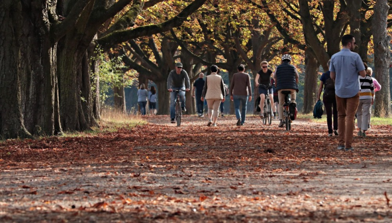 Arborização urbana e áreas verdes